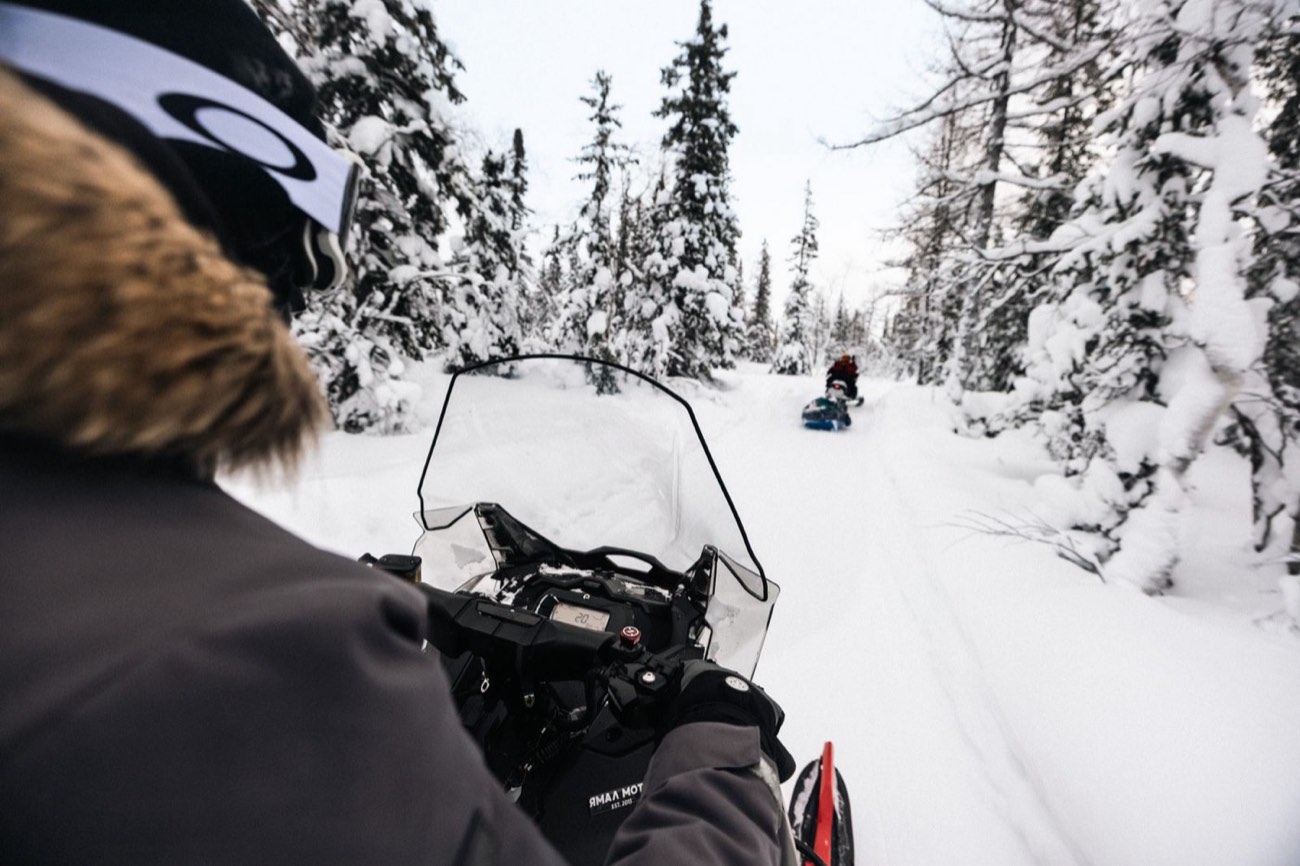 Guided group riding a treed snowmobile trail