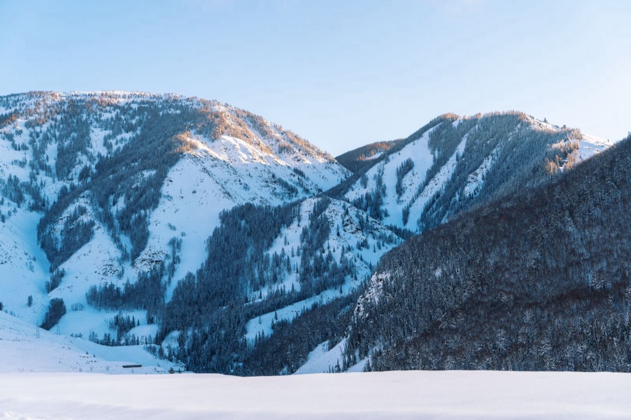 Bluebird day over treed alpine mountains